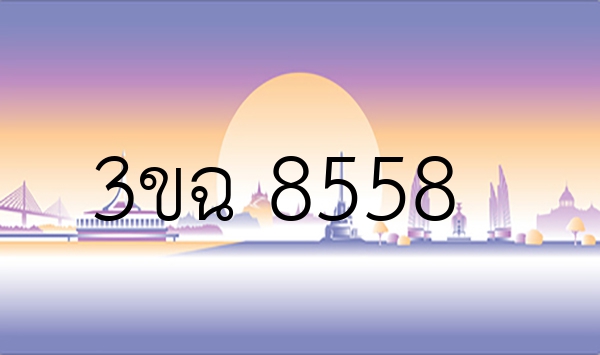3ขฉ 8558